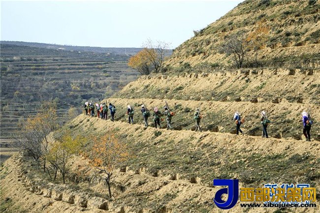 1509499084505193.jpg 2.JPG