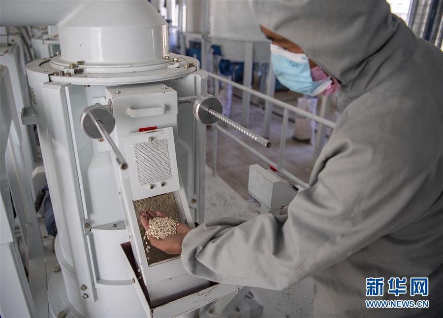 (新華全媒頭條·圖文互動(dòng))(7)血脈同心 共盼春來(lái)——疫情阻擊戰(zhàn)中的雪域故事