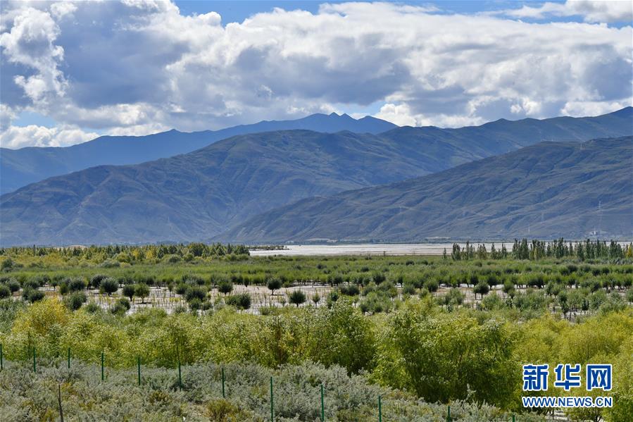 （圖文互動(dòng)）（4）“今天的生活，就像夢(mèng)里夢(mèng)到那樣甜”——寫(xiě)在西藏百萬(wàn)農(nóng)奴解放61周年之際